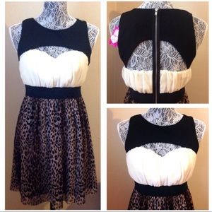 NWT!!!  2b BEBE Leopard Sweetheart Dress Sz M